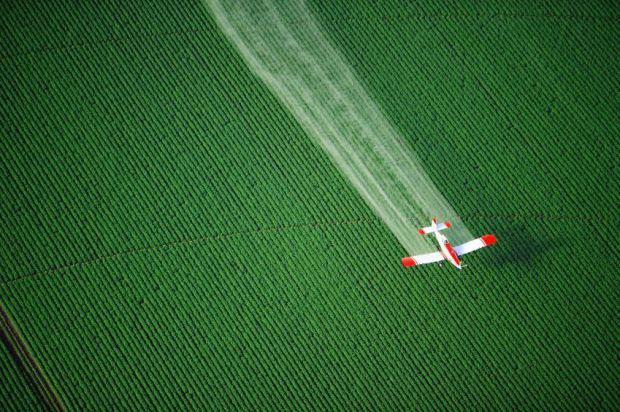 Uso de agrotóxicos no Brasil subiu 162% em 12 anos
