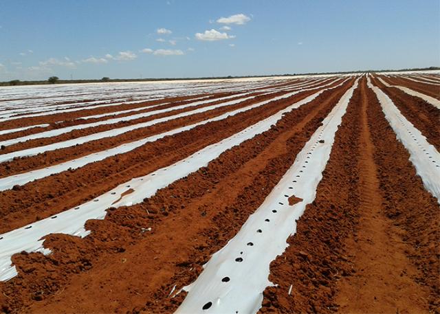 Região do Ceará precisará de mais água nos próximos 25 anos