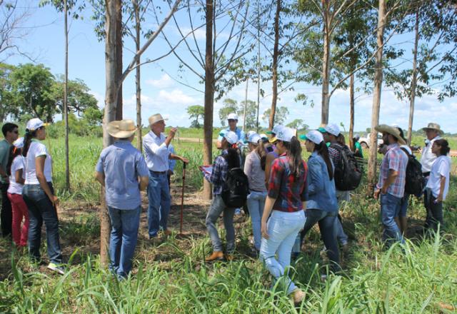 Embrapa e parceiros promovem 2º dia de Campo sobre ILPF no IFMT em Cáceres