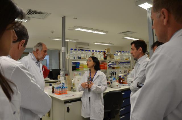 Embrapa e Embrapii unem-se para pesquisas em Química Renovável