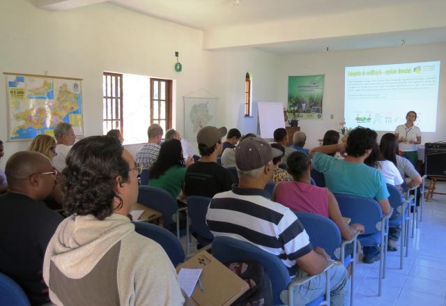 Mata Atlântica: Viveiristas aprendem a produzir espécies para conservação