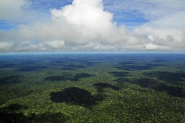 Cadastro Ambiental Rural será o maior programa de captura de gás carbônico do mundo