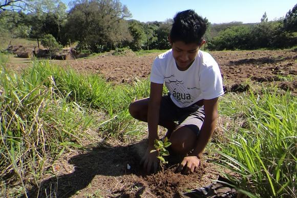 Projeto recupera biodiversidade em aldeias guaranis