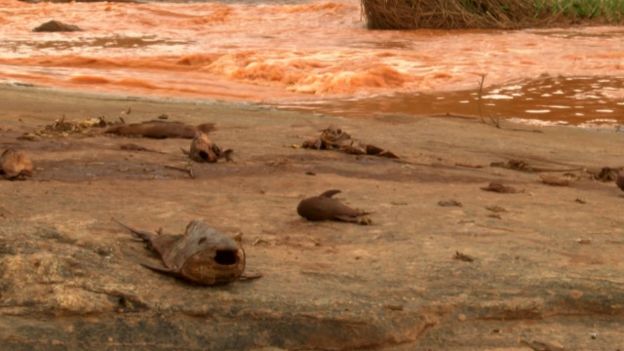 Procurador ameaça pedir bloqueio de bens de Vale e BHP para financiar pescadores