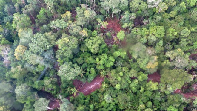 Terras indígenas no arredor de Belo Monte sofrem com roubo milionário de madeira