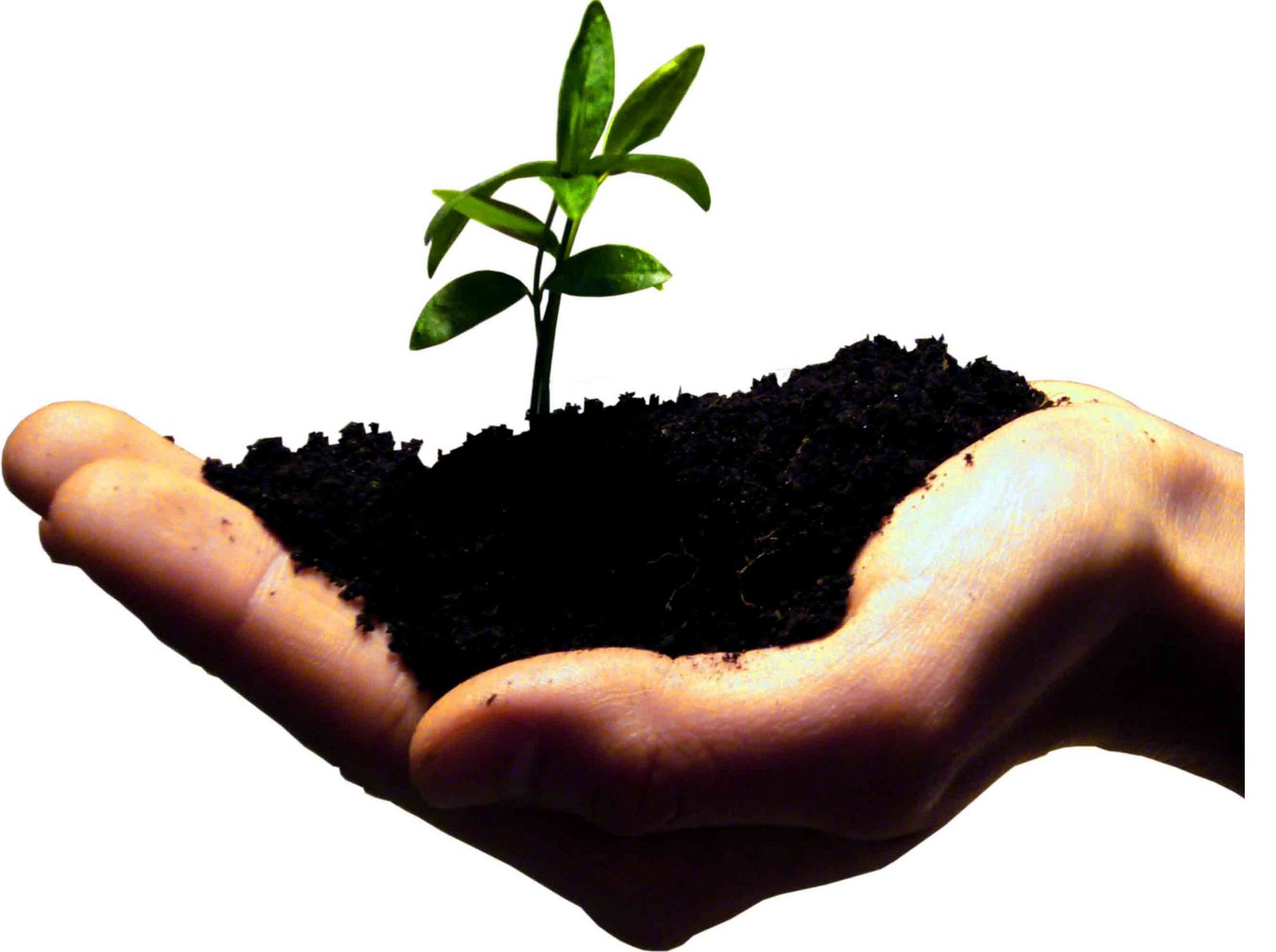 CURSO ONLINE DE DESENVOLVIMENTO SUSTENTÁVEL