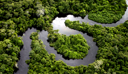 Amazônia: Termo de Compromisso Avança