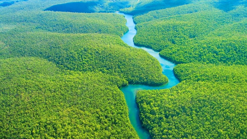 A Floresta Amazônica e a Questão Ambiental