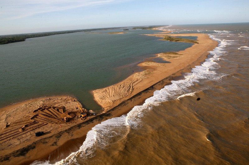 Ibama e ICMBio protegem fauna na foz do Rio Doce