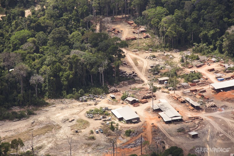 Madeira ilegal da Amazônia chega impunemente à Europa