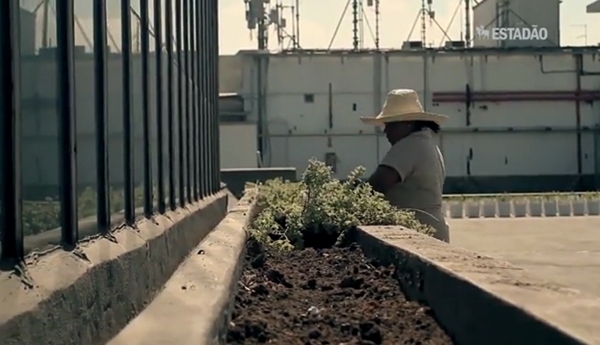 Profissões do Futuro: agricultura urbana