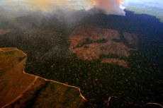 Brasil, África do Sul, Índia e China se unem em defesa do clima