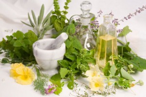 Ervas E Anti-Oxidantes Ajudam A Combater O Câncer