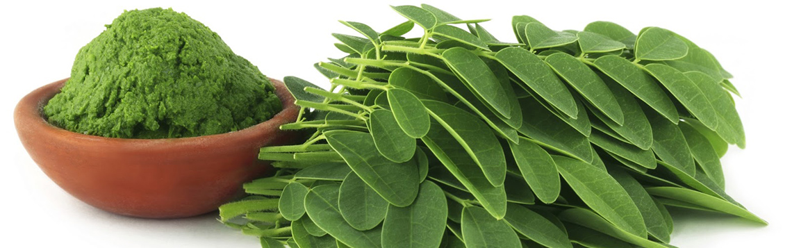 MORINGA, A PLANTA QUE PURIFICA A ÁGUA E PODERIA ACABAR COM A FOME MUNDIAL