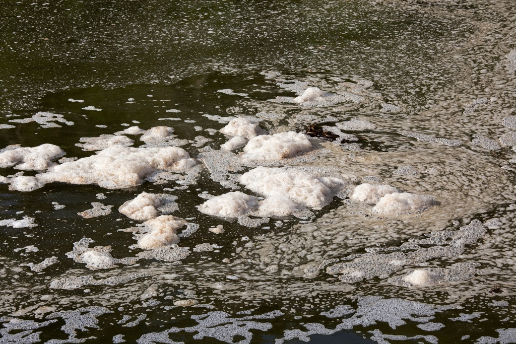 CAUSA DA POLUIÇÃO E CONTAMINAÇÃO DA ÁGUA
