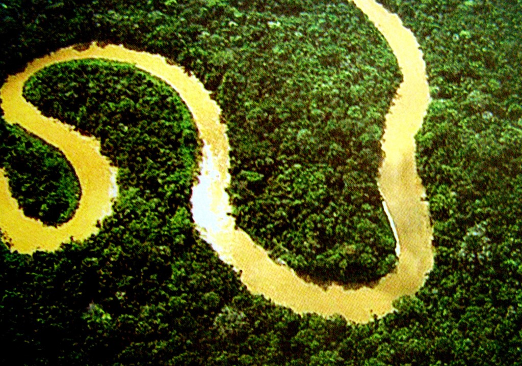 Amazônia: A verdade sobre o coração do mundo