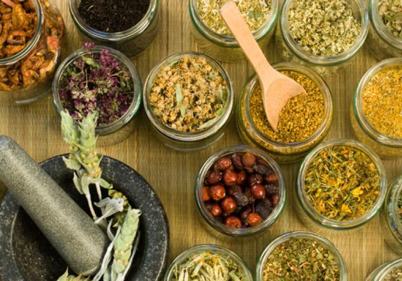 Plantas medicinais: 12 espécies para cultivar em seu jardim (Veja)