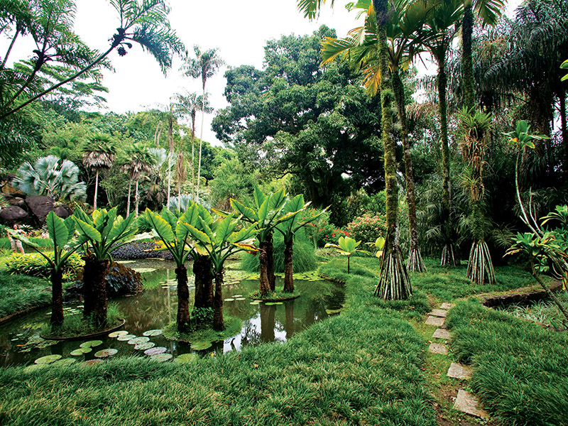 BURLE MARX: Abriga coleções de plantas tropicais e subtropicais