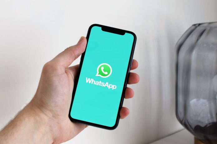 Saiba tudo sobre a lixeira do WhatsApp e como aproveitá-la ao máximo