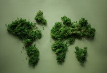 Meio Ambiente: Entenda o que é e sua importância para a vida na Terra