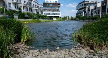 Pântano Urbano em Berlim Utiliza Natureza para Combater as Mudanças Climáticas